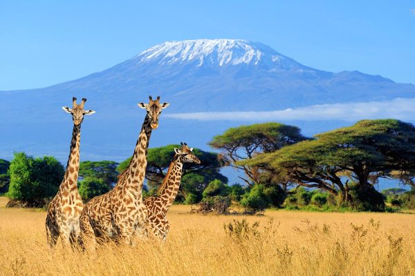 Mount-Kilimanjaro-Tanzania--(3)
